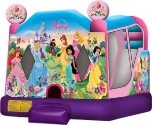 Disney Princess Combo 20x15x15 $385.00